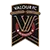 Valour logo