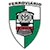 Ferro Maputo logo