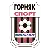 Hirnyk-Sport logo