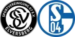 Elversberg x Schalke 04