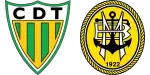 Tondela x Beira-Mar