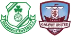 Shamrock x Galway