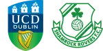 UCD x Shamrock