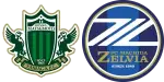 Matsumoto Yamaga x Machida Zelvia