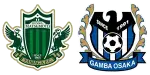 Matsumoto Yamaga x Gamba Osaka