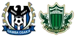 Gamba Osaka x Matsumoto Yamaga