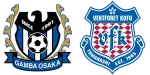 Gamba Osaka x Ventforet Kofu