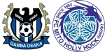 Gamba Osaka x Mito Hollyhock