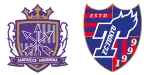 Sanfrecce Hiroshima x Tokyo