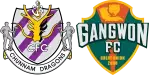 Jeonnam Dragons x Gangwon