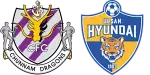 Jeonnam Dragons x Ulsan