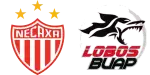 Necaxa x Lobos BUAP