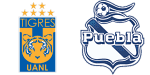 Tigres x Puebla
