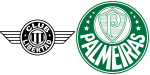 Libertad x Palmeiras