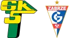 Górnik Łęczna x Górnik Zabrze