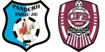 Pandurii Târgu Jiu x CFR Cluj