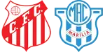 Capivariano x Marília