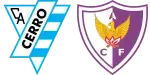 Cerro x Fénix