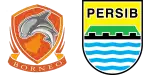 Borneo x Persib