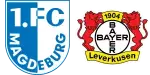 Magdeburg x Bayer Leverkusen