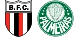 Botafogo-SP x Palmeiras