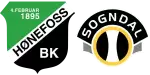 Honefoss x Songdal