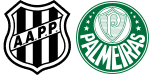 Ponte Preta x Palmeiras