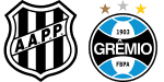 Ponte Preta x Grêmio