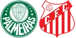 Palmeiras x Capivariano