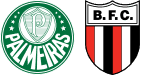 Palmeiras x Botafogo SP