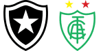Botafogo x América-MG