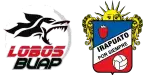 Lobos BUAP x Irapuato