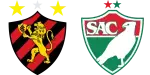 Sport Recife x Salgueiro