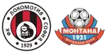 Lok Sofia x Montana