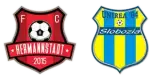 Hermannstadt vs Unirea Slobozia