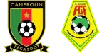 Cameroon x Guinea