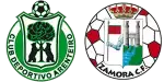 Arenteiro x Zamora