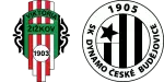 Zizkov x Dynamo CB