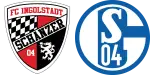 Ingolstadt x Schalke 04