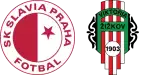 Slavia Praha B x Viktoria Žižkov