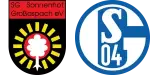 Sonnenhof Großaspach x Schalke 04