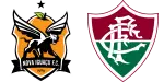 Nova Iguaçu x Fluminense