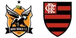 Nova Iguaçu x Flamengo