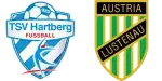 Hartberg x Austria Lustenau