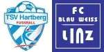 Hartberg x Blau-Weiß Linz