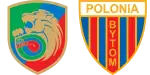 Miedź Legnica x Polonia Bytom