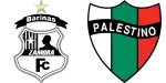Zamora x Palestino