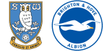 Sheffield Wednesday x Brighton & Hove Albion