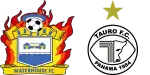 Waterhouse x Tauro