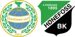 Sandnes x Honefoss